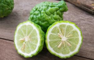 Turismo, tradizione, cultura e territorio. L'esempio di 