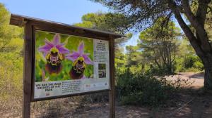 Al Parco di Ugento la natura si racconta con il linguaggio dei giovani