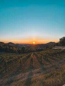 E tu, a settembre, cosa...FAI? Piccola panoramica sui prossimi appuntamenti del Fondo Ambiente Italiano