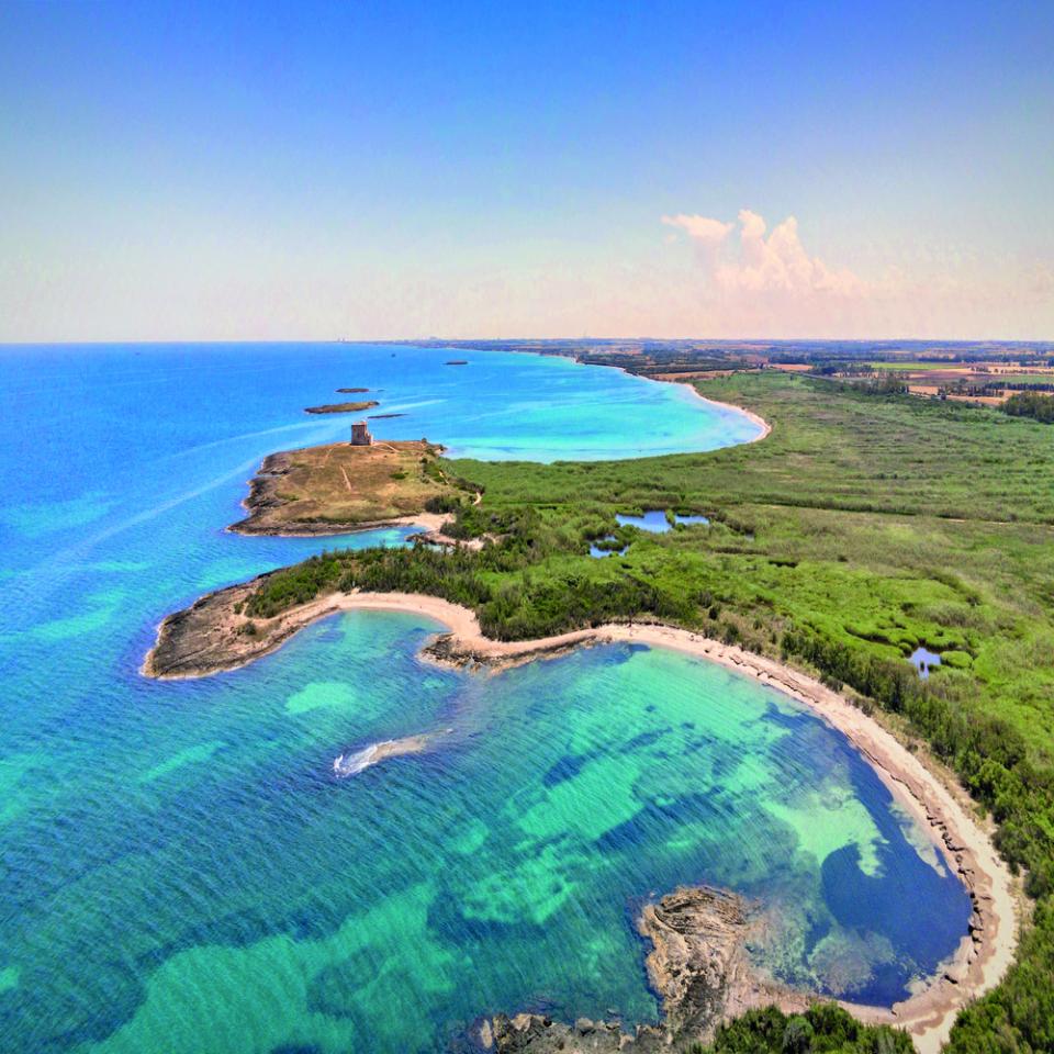 Torre Guaceto è l'area protetta meglio gestita in Italia. Il prestigioso riconoscimento dal Ministero della Transizione Ecologica