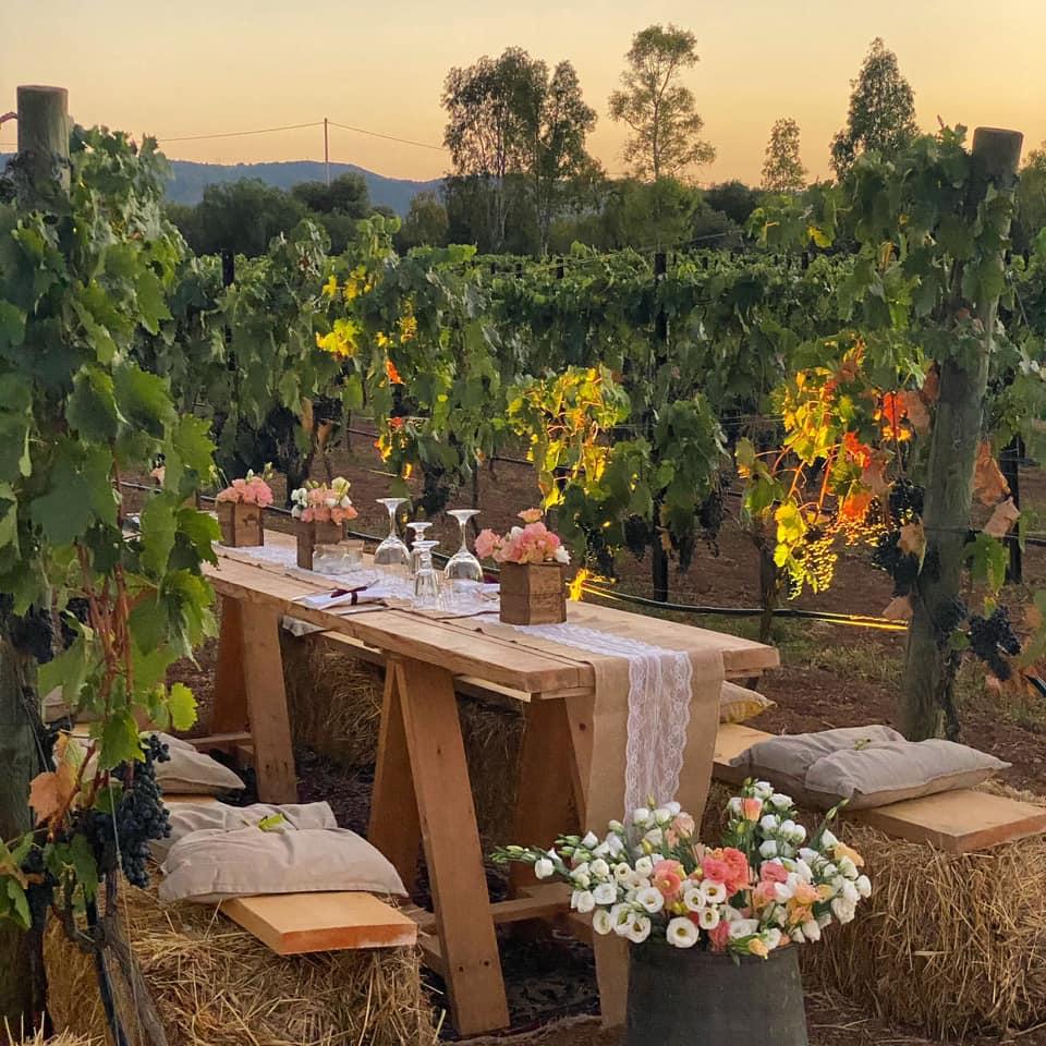 I nuovi viaggiatori sono 