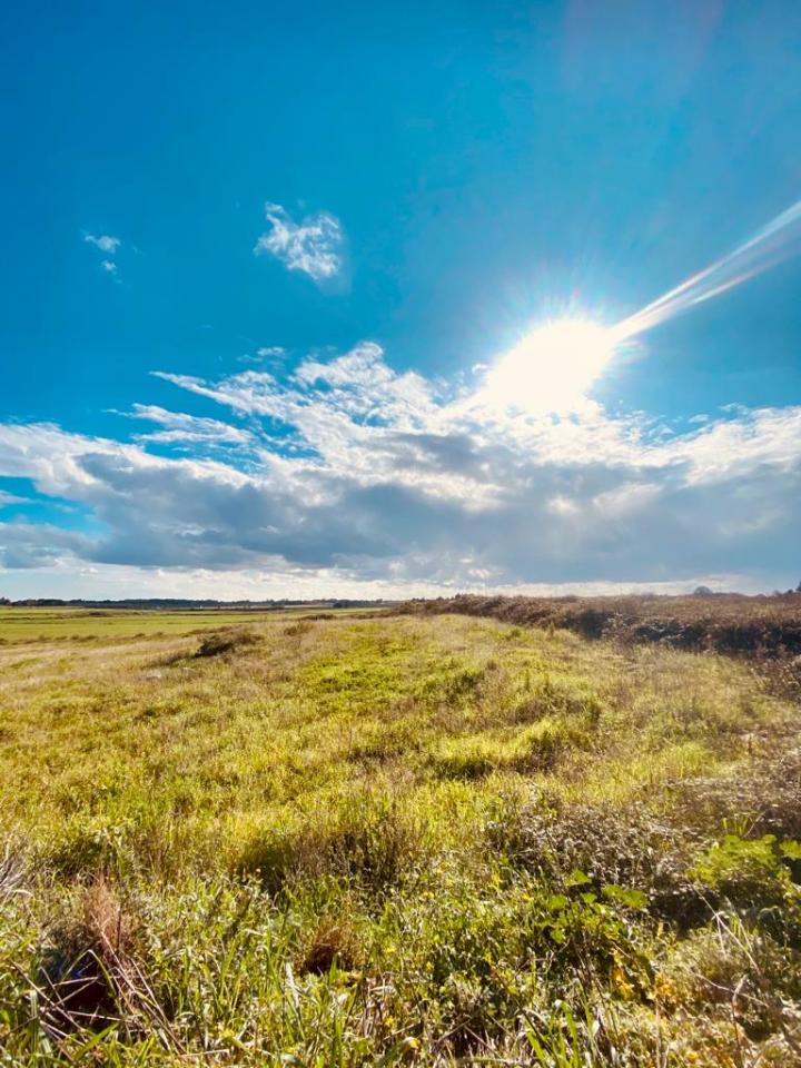 Caldo: il record storico del 2023